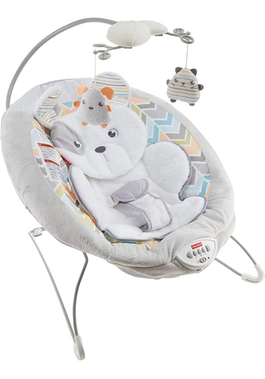 Fisher-Price Sweet Snugapuppy Deluxe Bouncer, portable bouncing baby seat with overhead mobile, music, and calming vibrations [