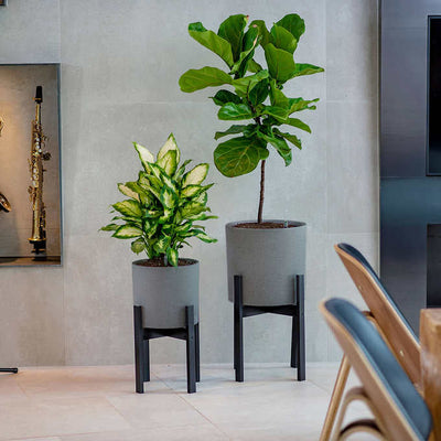 Vita Växa Planters, 2-pack (new out of the box)