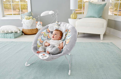 Fisher-Price Sweet Snugapuppy Deluxe Bouncer, portable bouncing baby seat with overhead mobile, music, and calming vibrations [