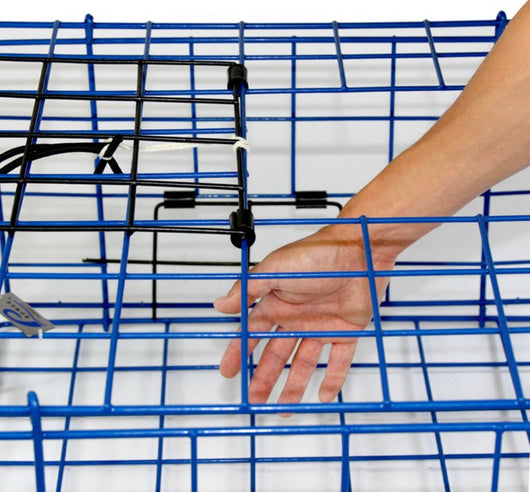 Promar Folding Crab Trap- NEW!