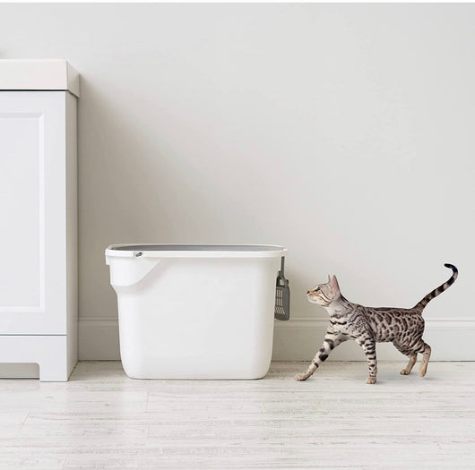 IRIS USA Top Entry Cat Litter Box with Cat Litter Scoop- NEW!