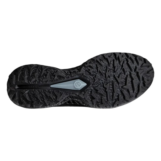 Biom C5 Gore-Tex Golf Shoes 132604