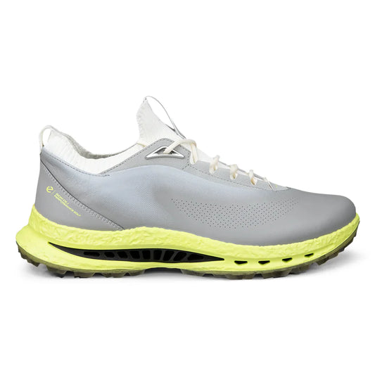 Biom C5 Gore-Tex Golf Shoes 132604