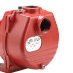 Redlion Sprinkler Pump