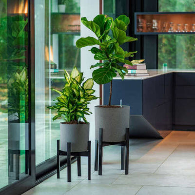 Vita Växa Planters, 2-pack (new out of the box)