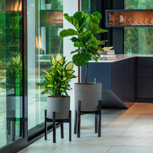 Vita Växa Planters, 2-pack (new out of the box)